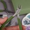 The Beadsmith Fashion Color Pliers – Slimline Color-Coordinated Tools – Matching Clutch in Beige – Jewelry Making Supply Kit to Create Necklaces, Bracelets, Earrings & More